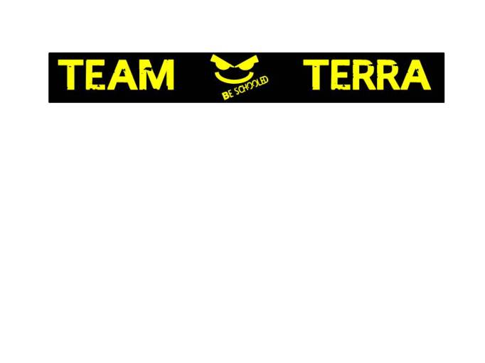 Team Terra web logo